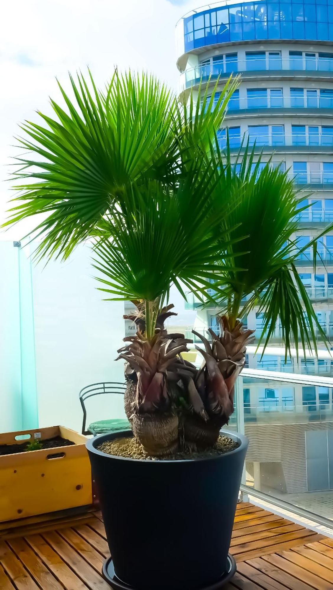 Oasis Apartment Buarcos Luaran gambar